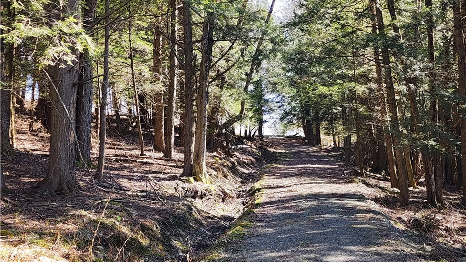 Property at 147 Buck Road, Otsego, NY 13337 14