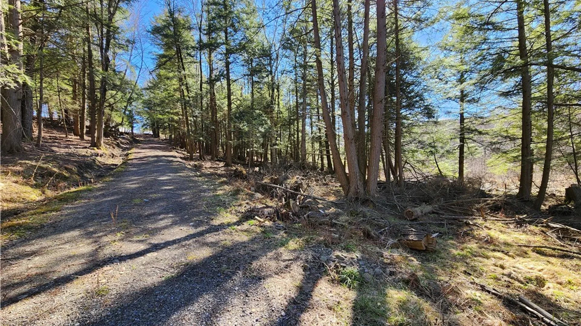 Property at 147 Buck Road, Otsego, NY 13337 15