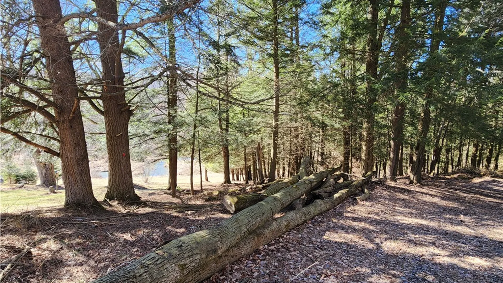 Property at 147 Buck Road, Otsego, NY 13337 17