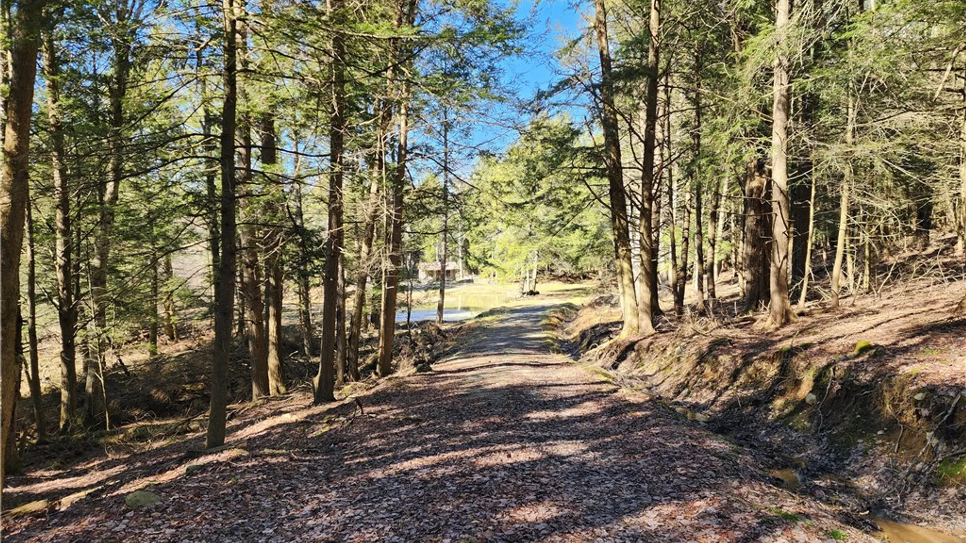 Property at 147 Buck Road, Otsego, NY 13337 18