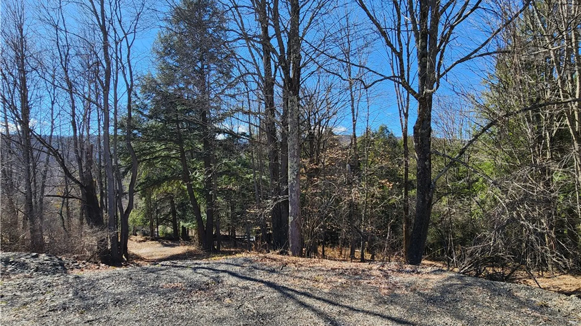 Property at 147 Buck Road, Otsego, NY 13337 20