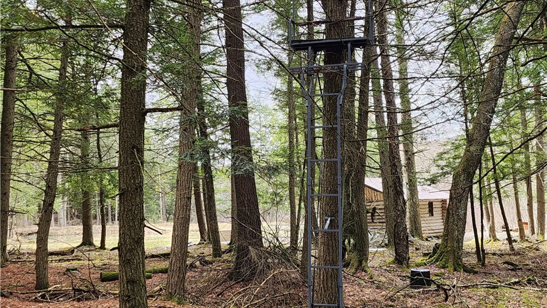 Property at 147 Buck Road, Otsego, NY 13337 21