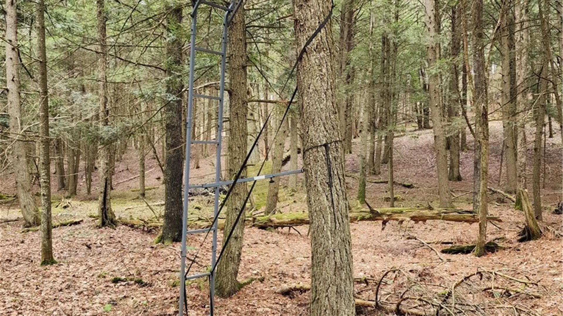 Property at 147 Buck Road, Otsego, NY 13337 27