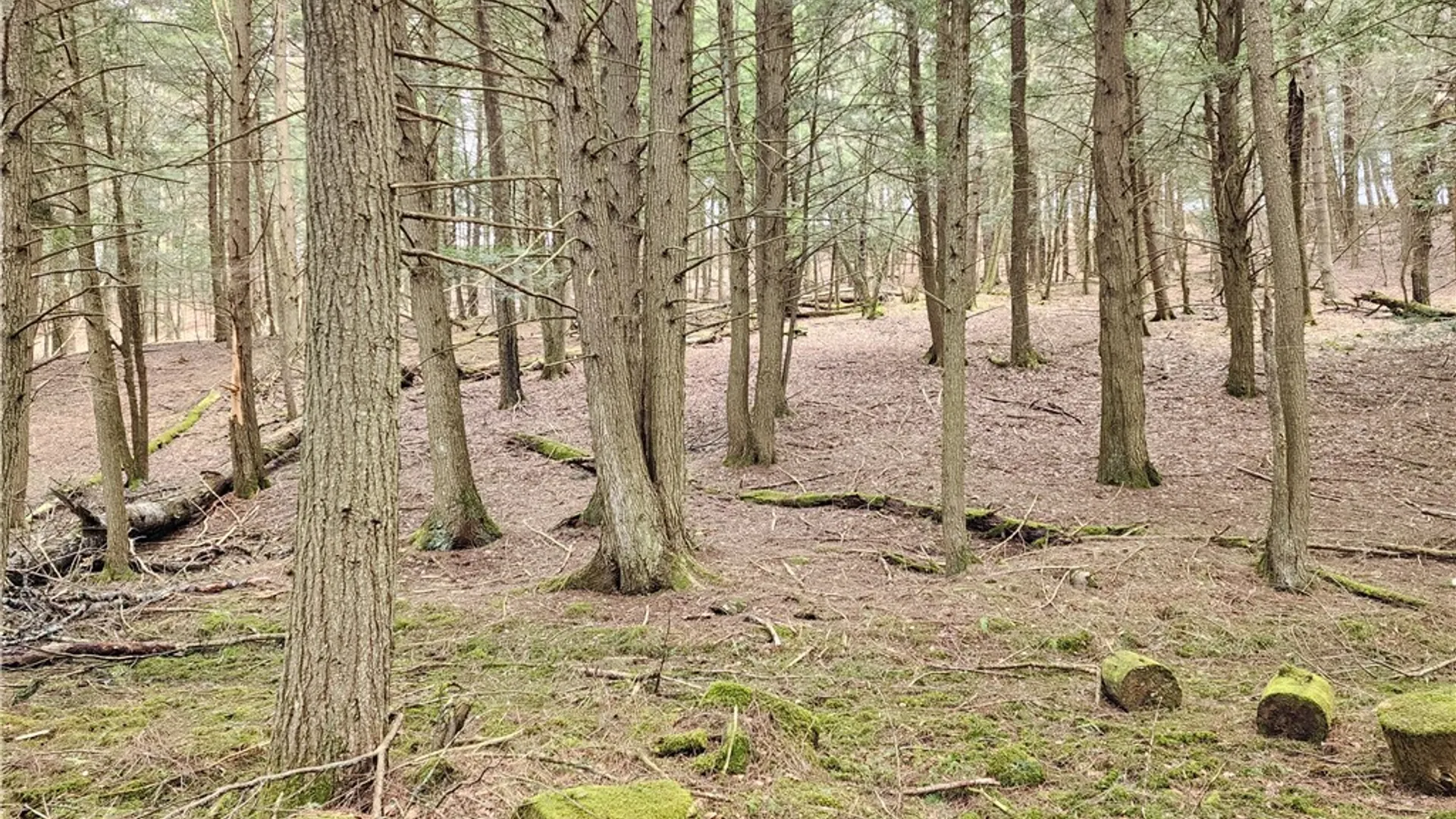 Property at 147 Buck Road, Otsego, NY 13337 28