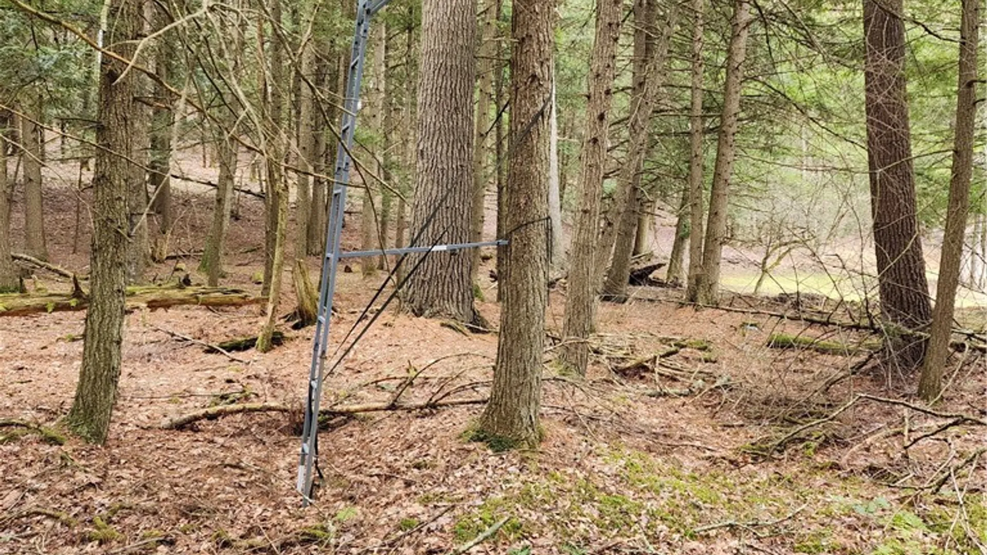 Property at 147 Buck Road, Otsego, NY 13337 29