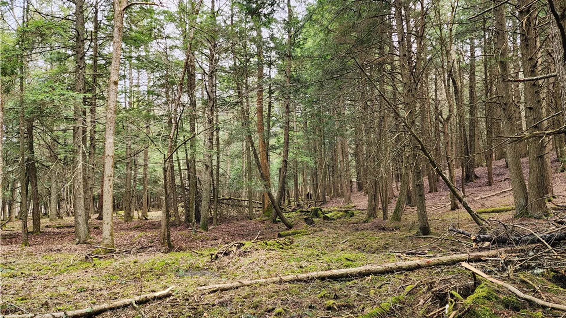 Property at 147 Buck Road, Otsego, NY 13337 30