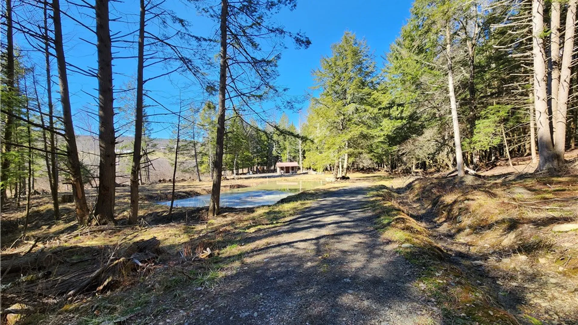 Property at 147 Buck Road, Otsego, NY 13337 4