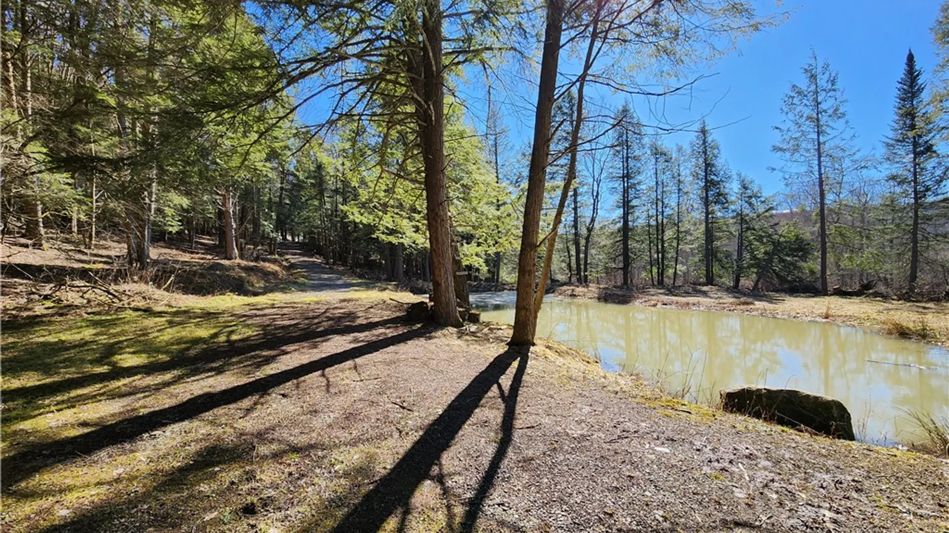 Property at 147 Buck Road, Otsego, NY 13337 7