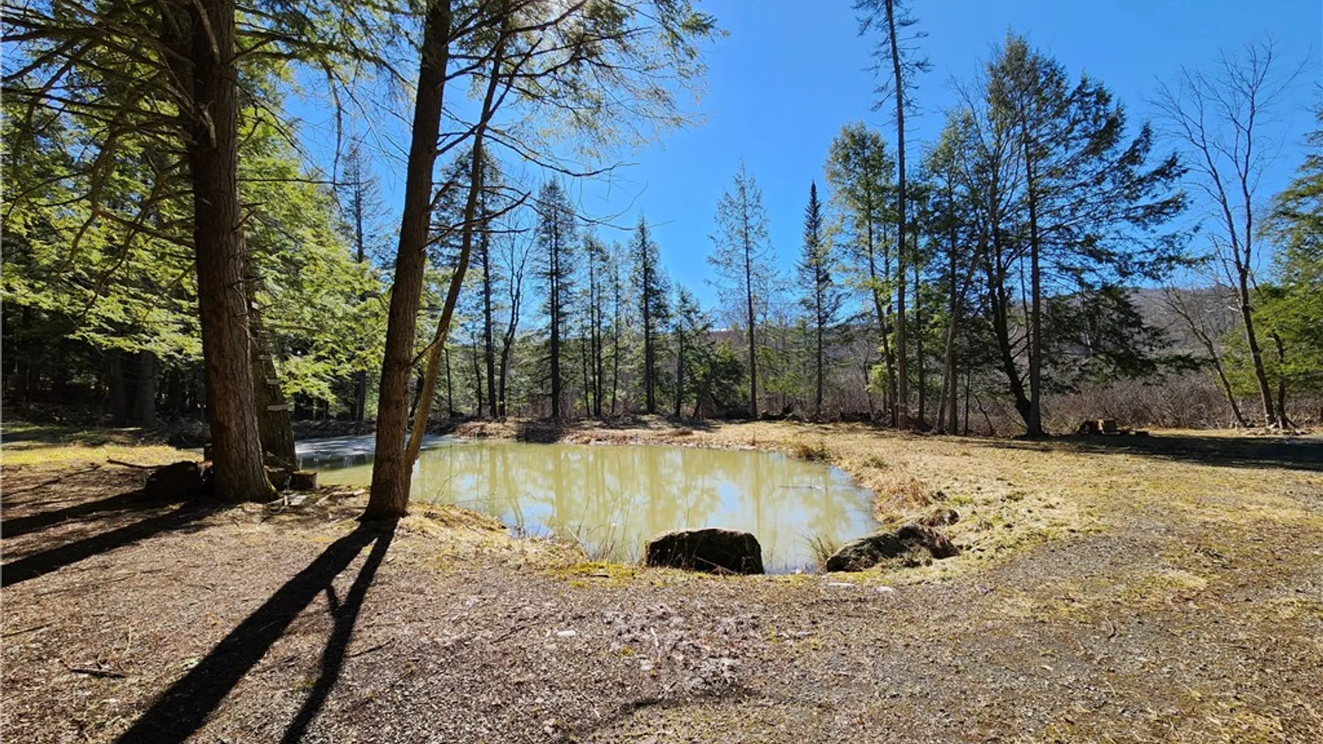 Property at 147 Buck Road, Otsego, NY 13337 9