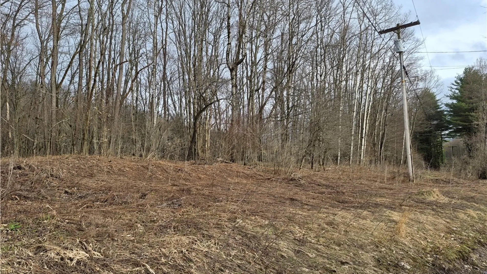 Property at 0 Haines Hollow Road, Great Valley, NY 14741 2