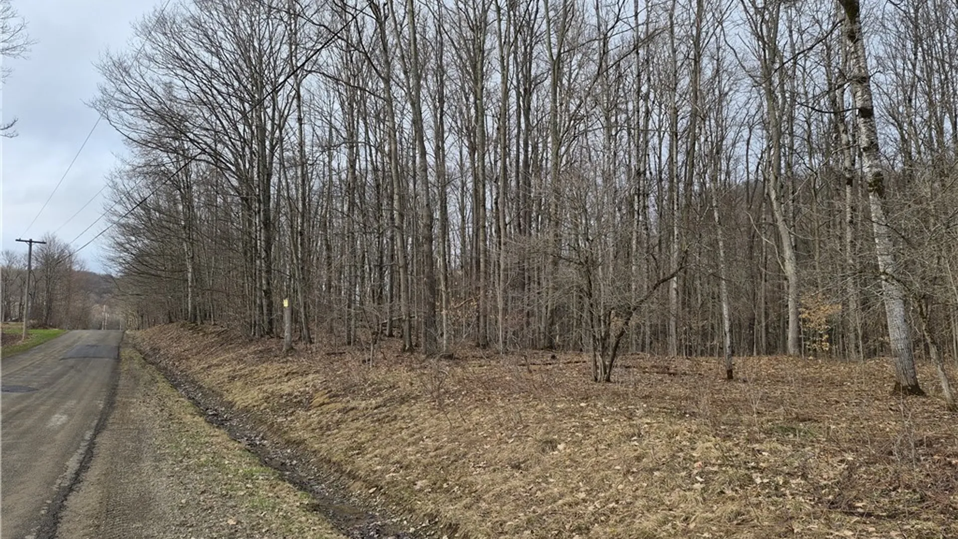 Property at 0 Haines Hollow Road, Great Valley, NY 14741 6