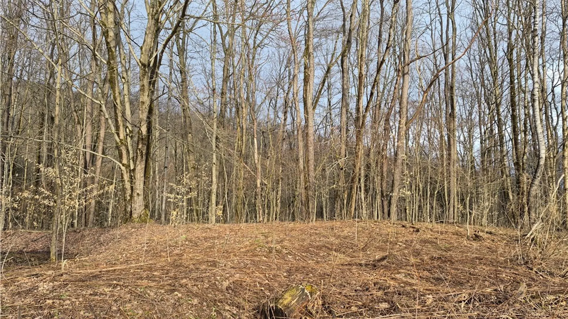 Property at 0 Haines Hollow Road, Great Valley, NY 14741 7