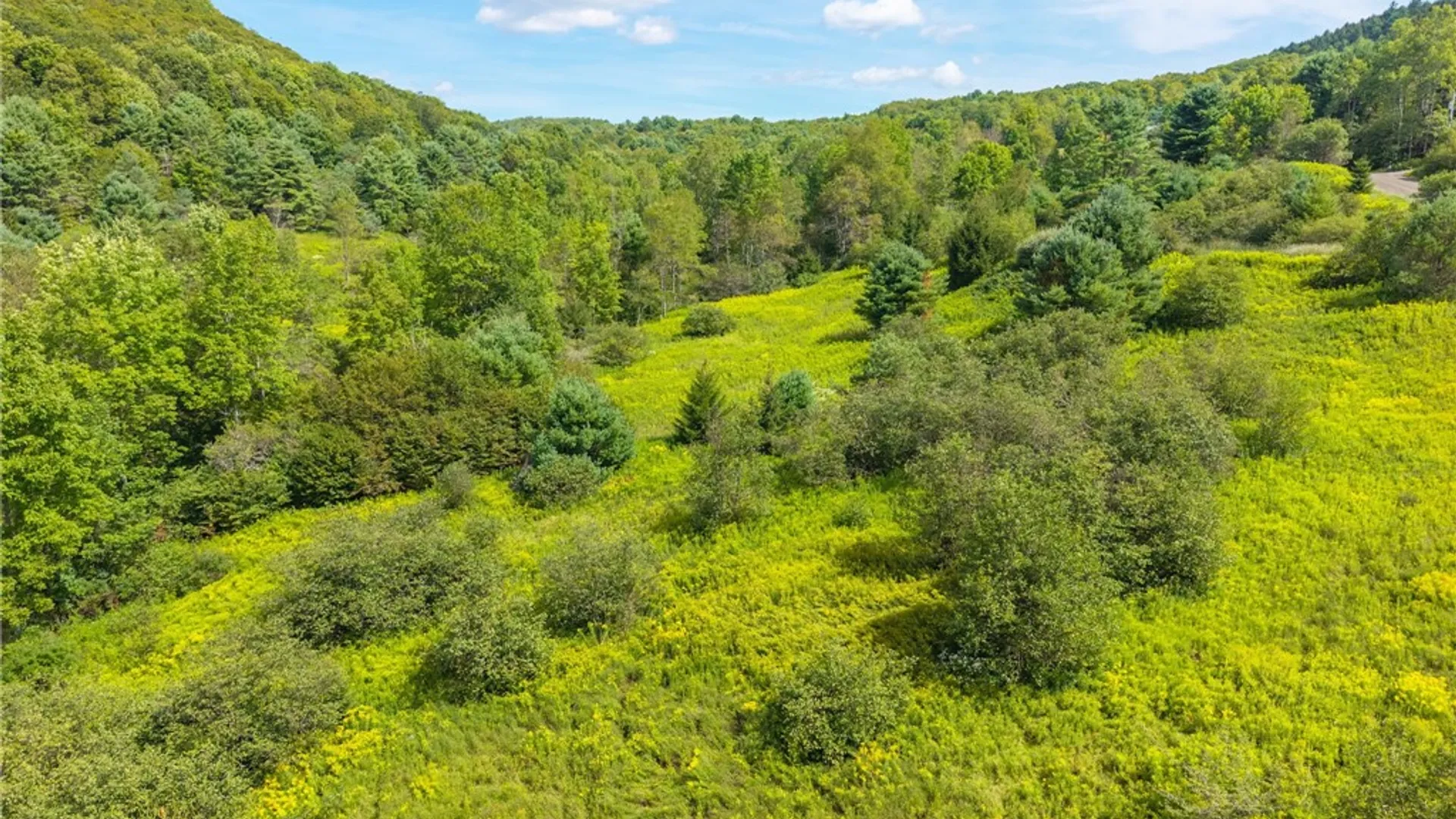 Property at 212 Morrell Road, Worcester, NY 12197 10