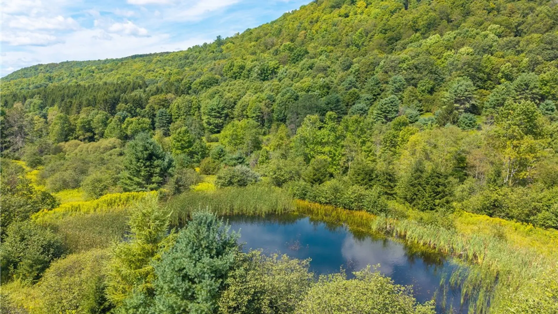 Property at 212 Morrell Road, Worcester, NY 12197 11