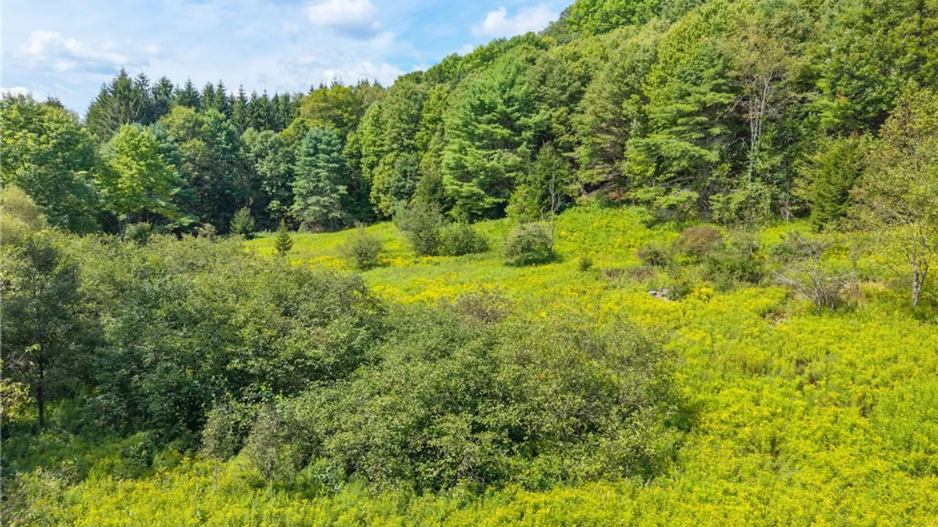 Property at 212 Morrell Road, Worcester, NY 12197 12