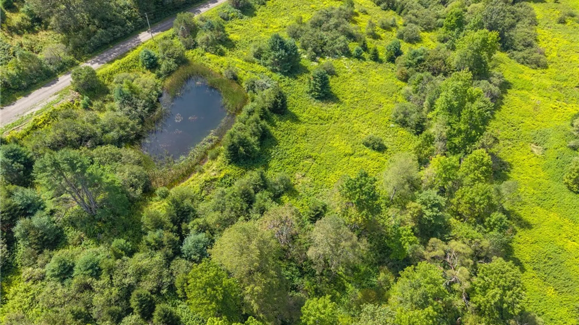 Property at 212 Morrell Road, Worcester, NY 12197 16