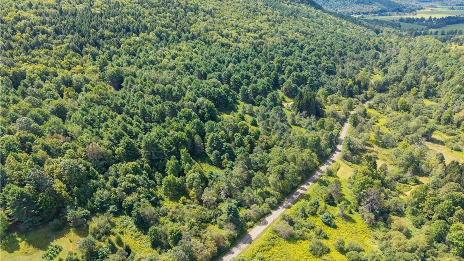 Property at 212 Morrell Road, Worcester, NY 12197 17