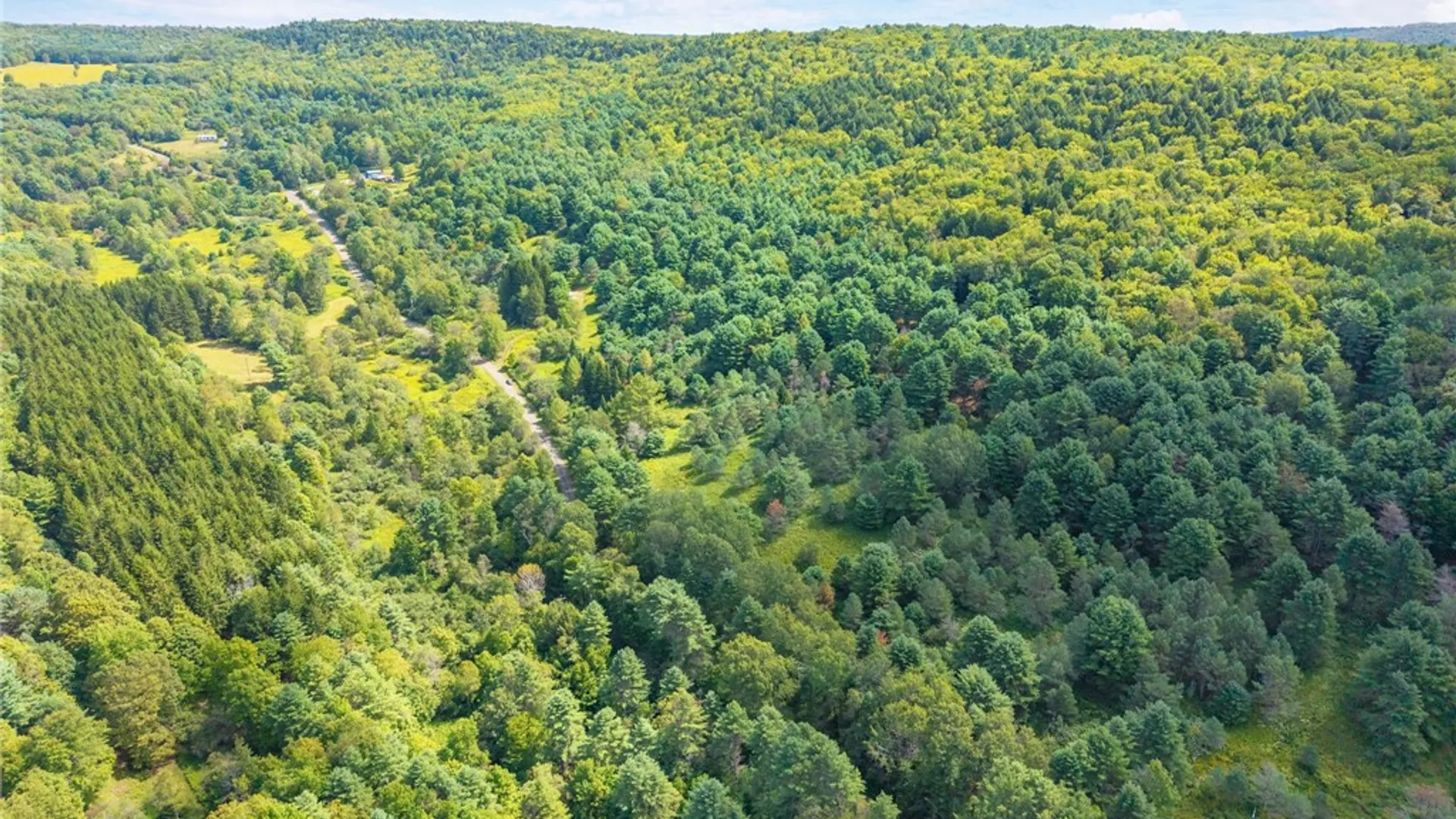 Property at 212 Morrell Road, Worcester, NY 12197 19