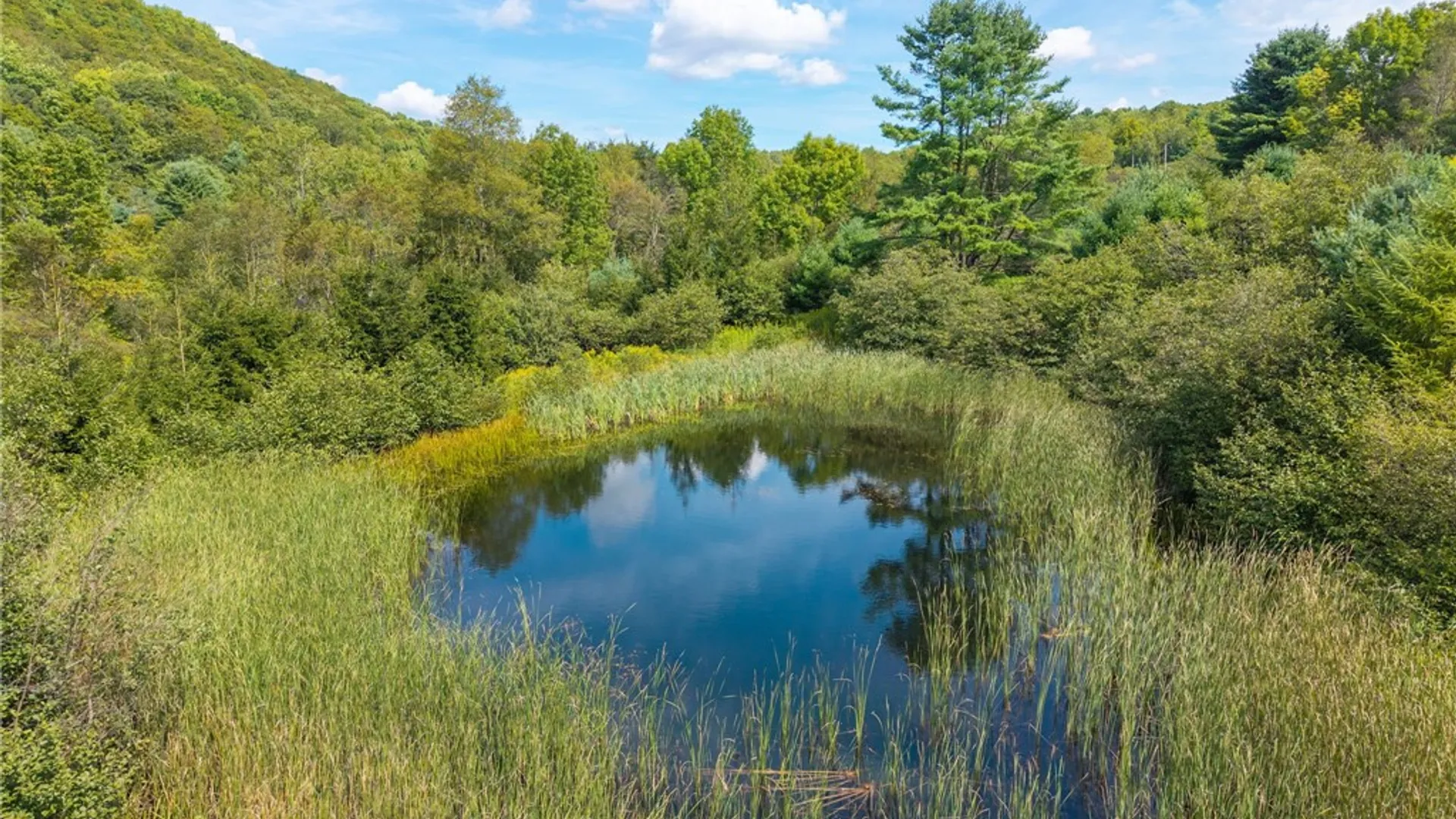 Property at 212 Morrell Road, Worcester, NY 12197 2