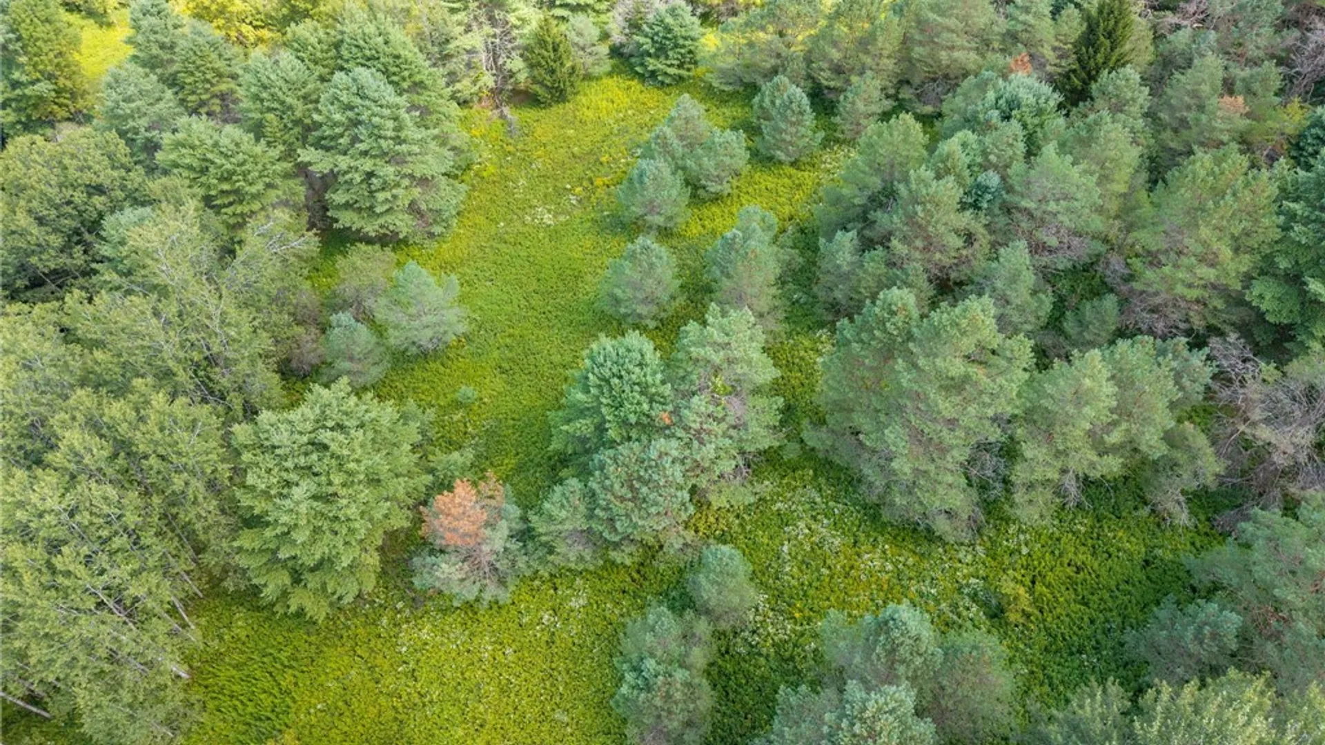 Property at 212 Morrell Road, Worcester, NY 12197 22