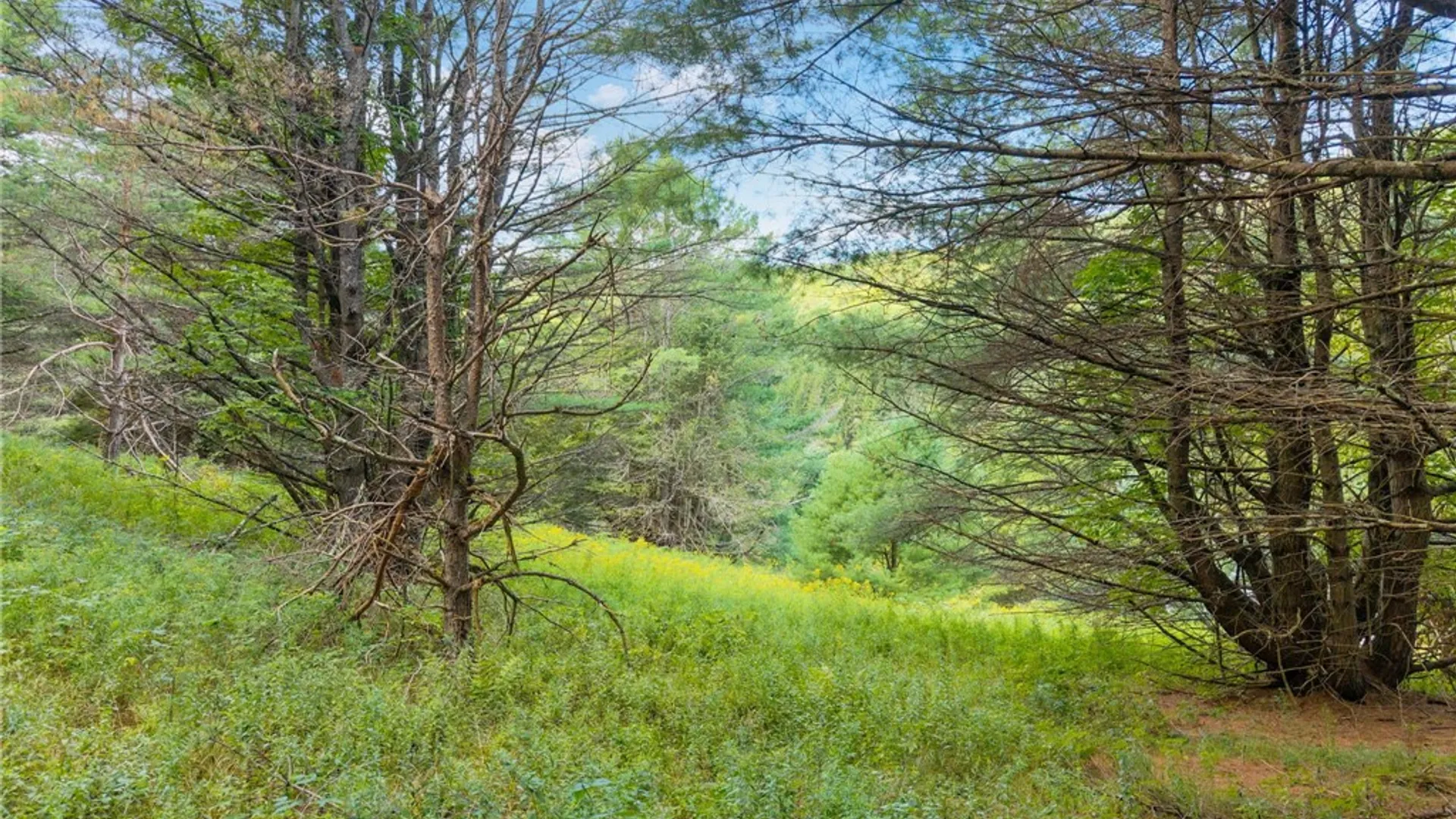 Property at 212 Morrell Road, Worcester, NY 12197 24