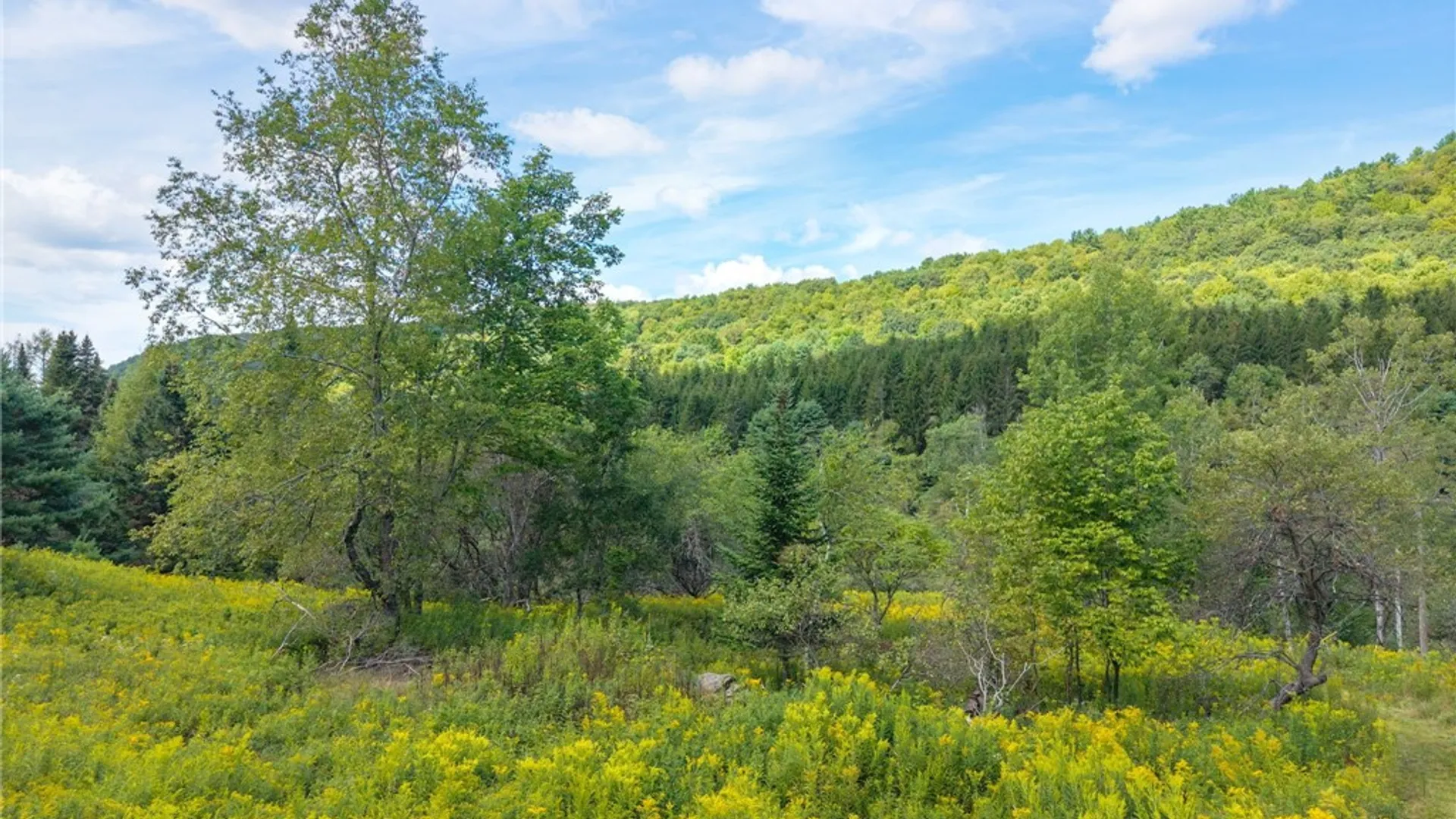 Property at 212 Morrell Road, Worcester, NY 12197 25