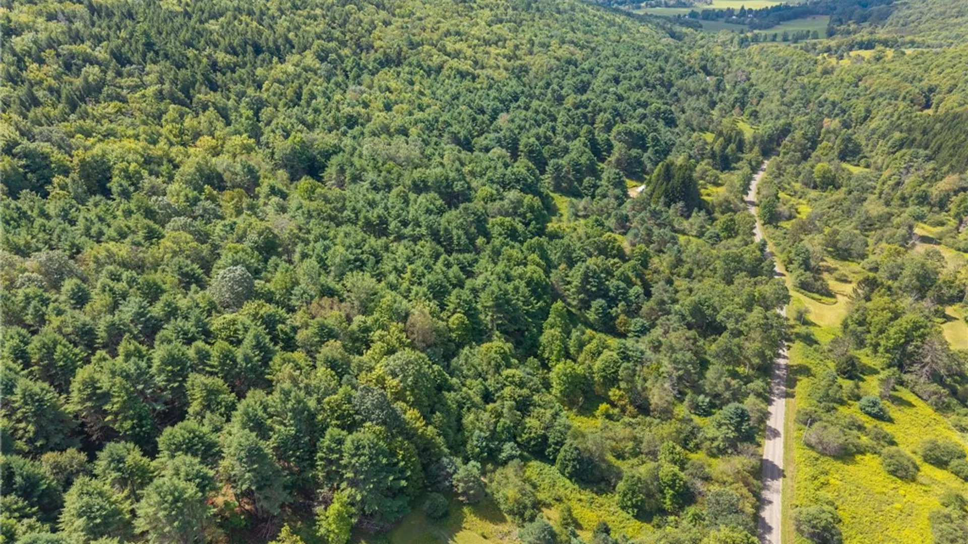 Property at 212 Morrell Road, Worcester, NY 12197 3