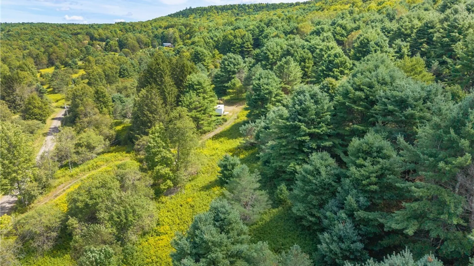 Property at 212 Morrell Road, Worcester, NY 12197 4