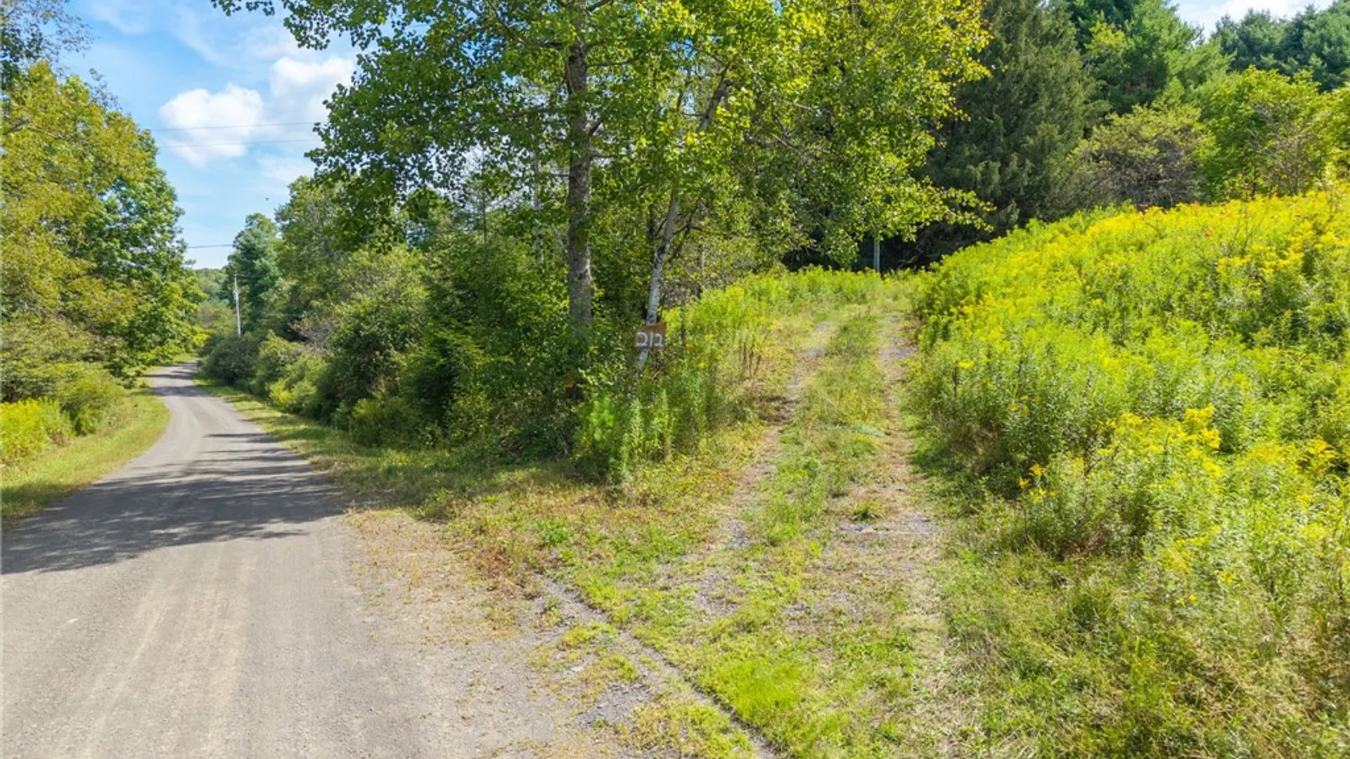 Property at 212 Morrell Road, Worcester, NY 12197 5