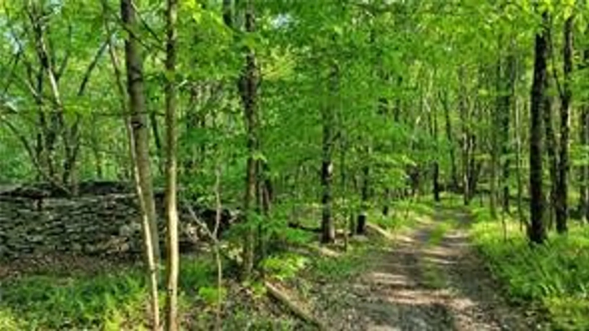 Property at Jim Lane Road, Bovina, NY 13740 11