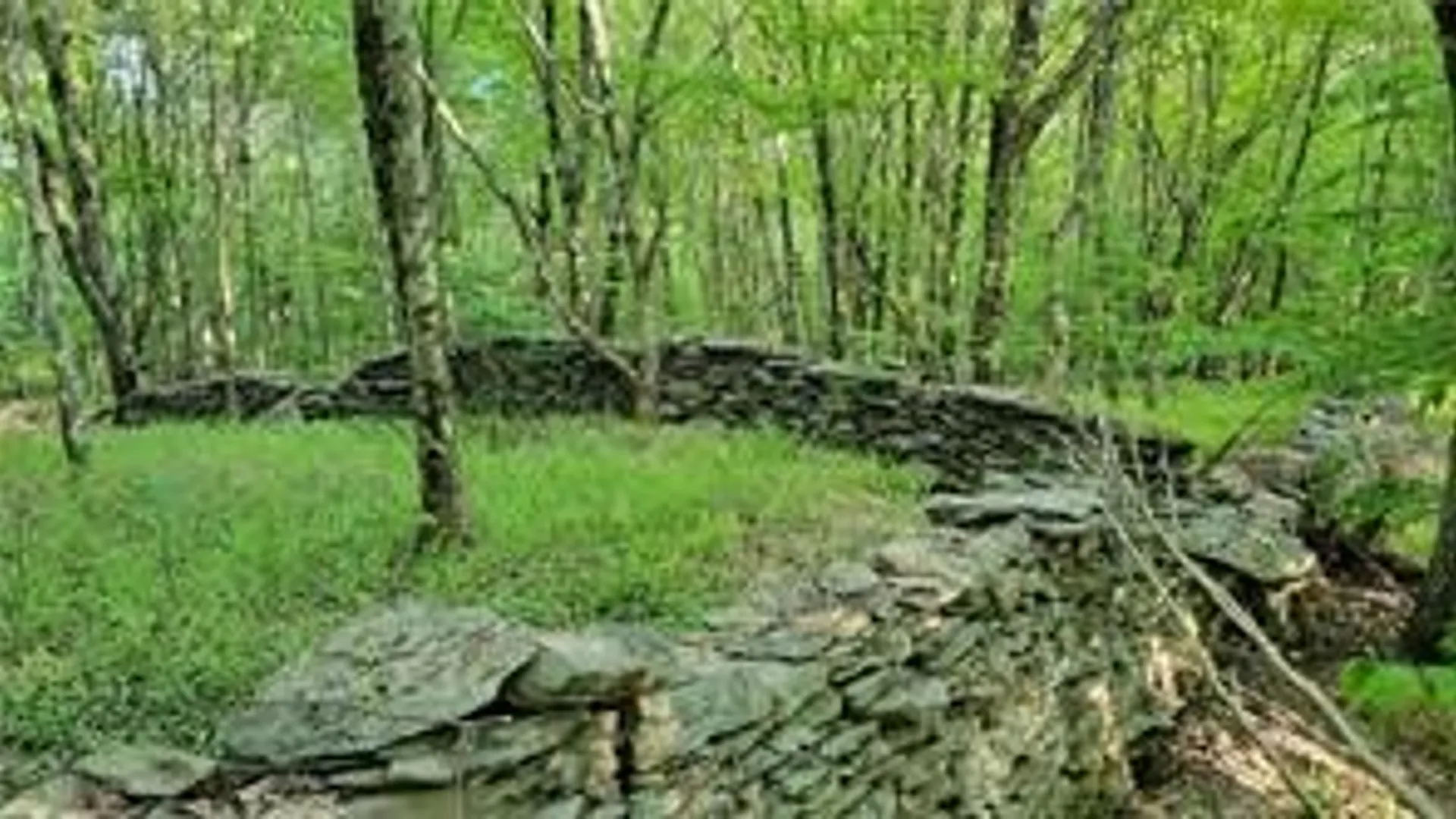 Property at Jim Lane Road, Bovina, NY 13740 12