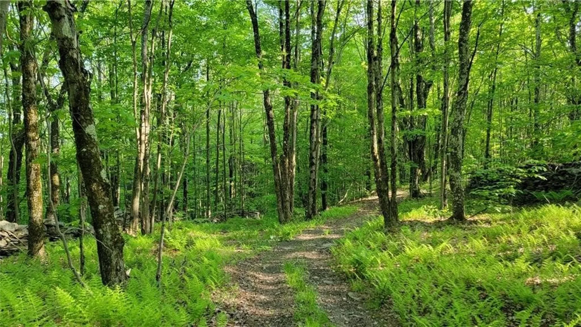 Property at Jim Lane Road, Bovina, NY 13740 14