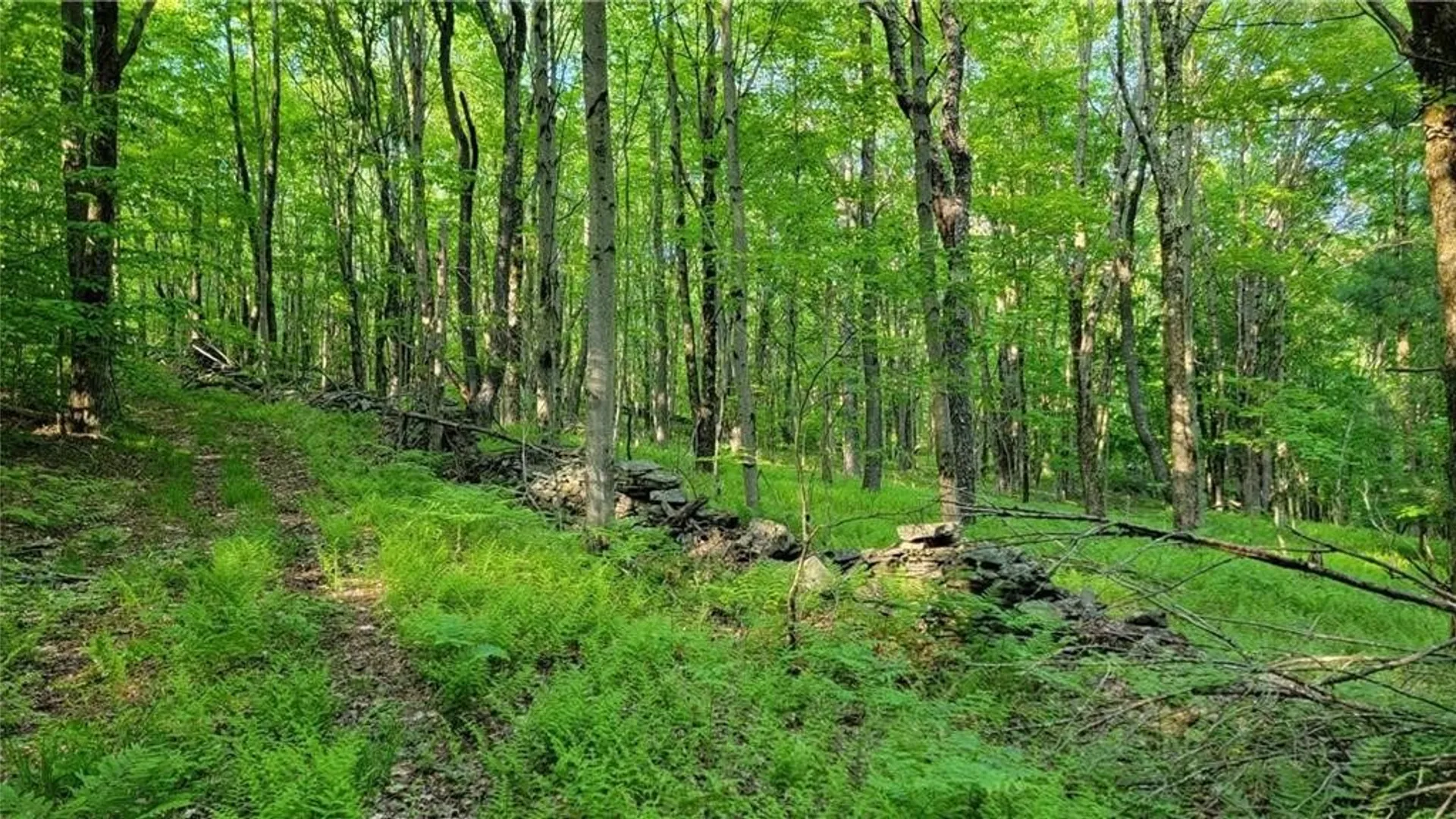 Property at Jim Lane Road, Bovina, NY 13740 15