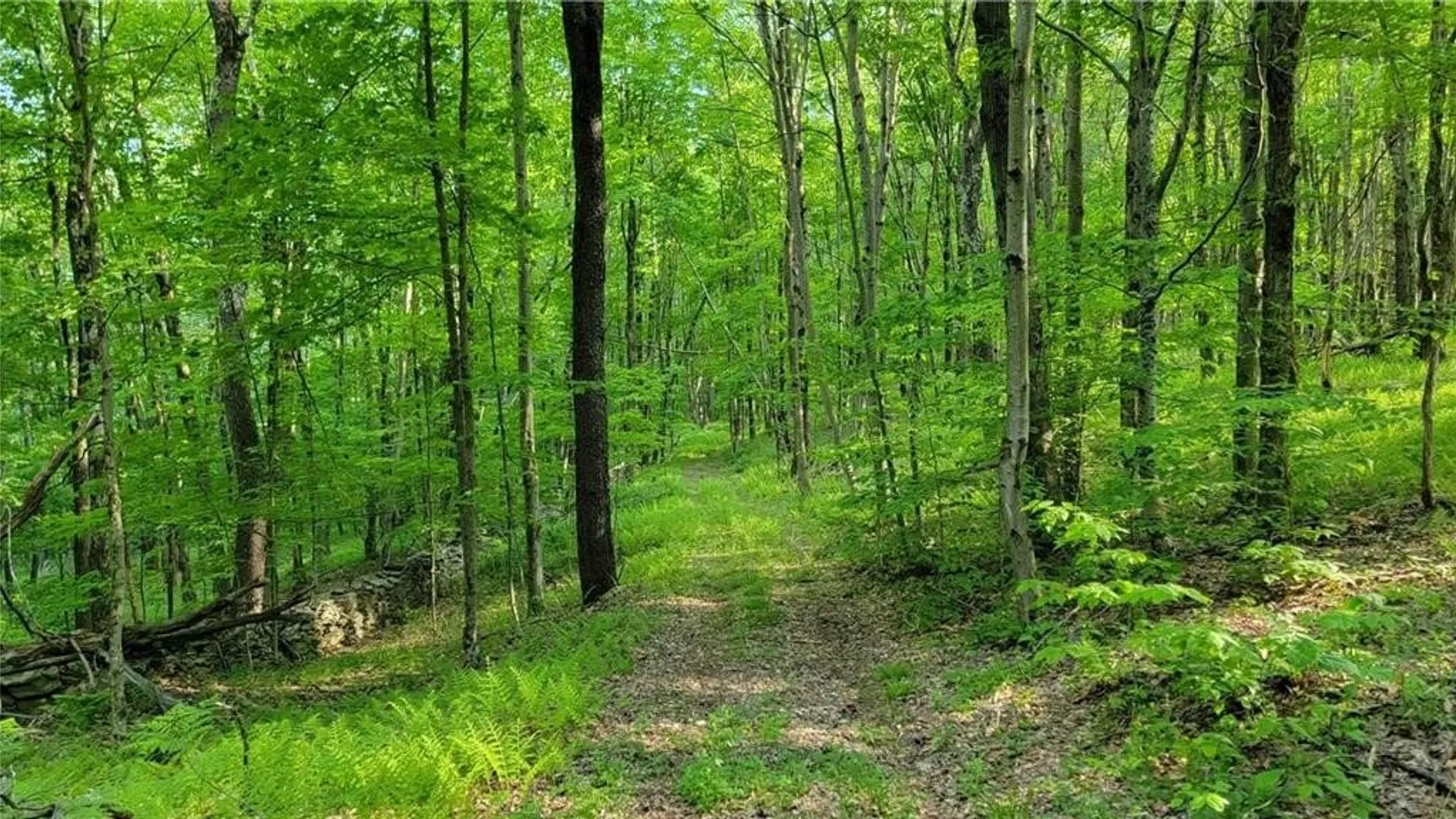 Property at Jim Lane Road, Bovina, NY 13740 16