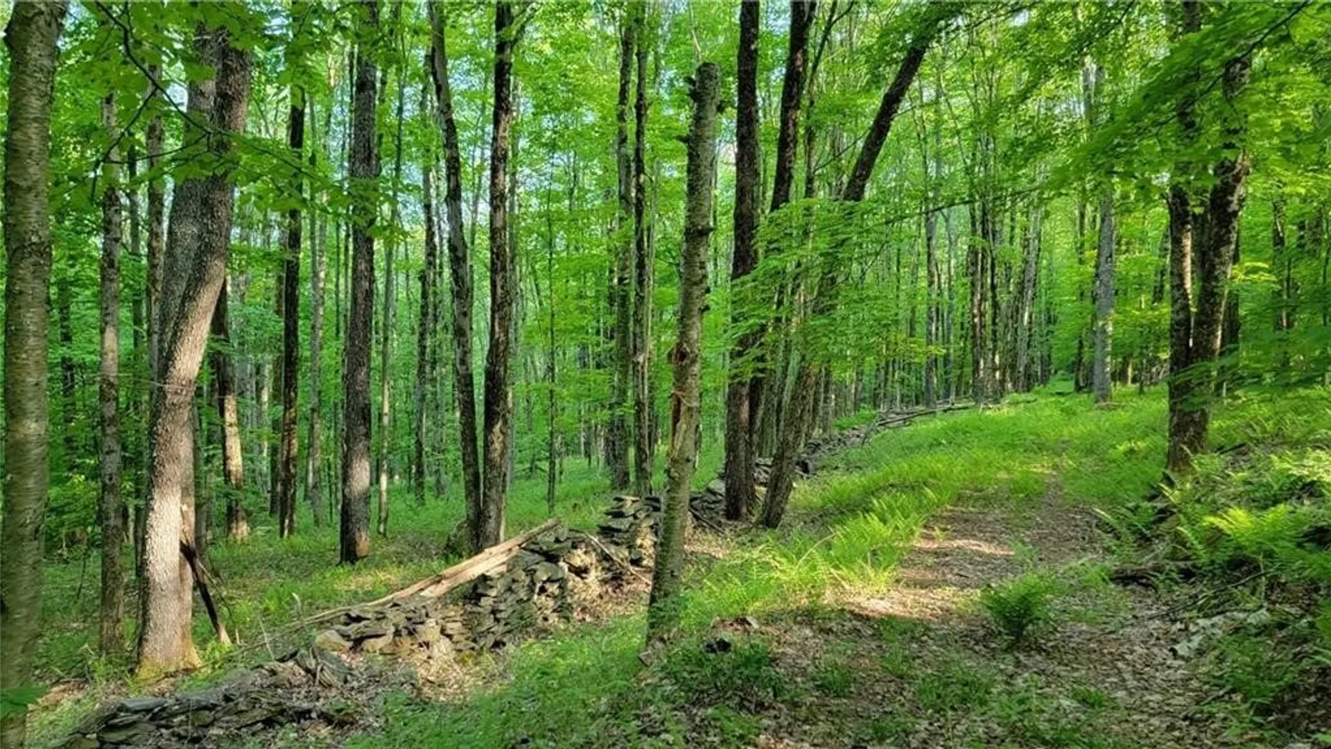 Property at Jim Lane Road, Bovina, NY 13740 17