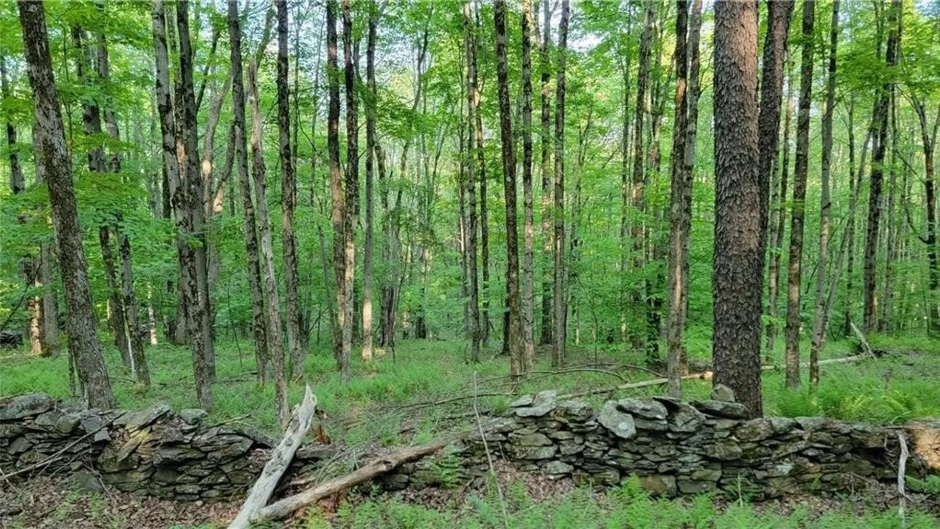 Property at Jim Lane Road, Bovina, NY 13740 18