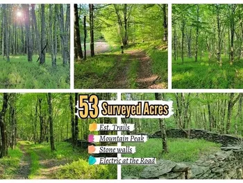 Jim Lane Road, Bovina, NY 13740