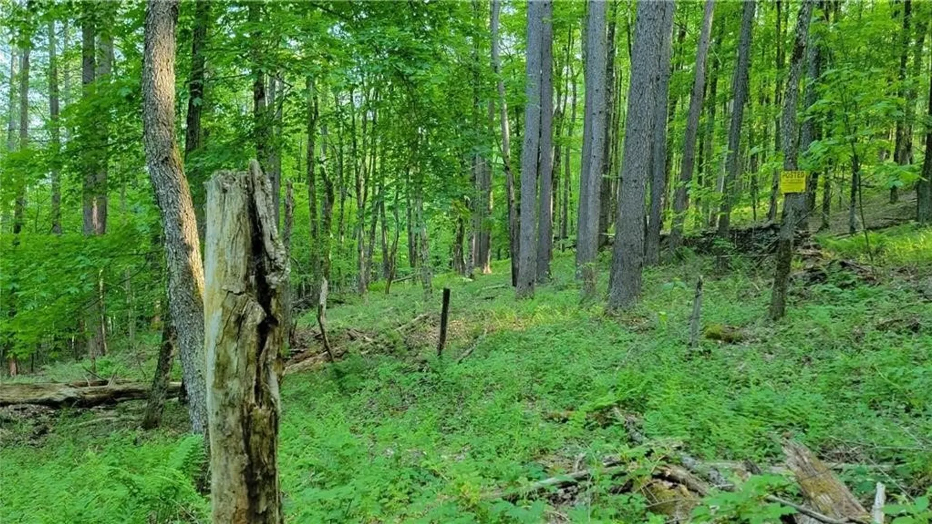 Property at Jim Lane Road, Bovina, NY 13740 20