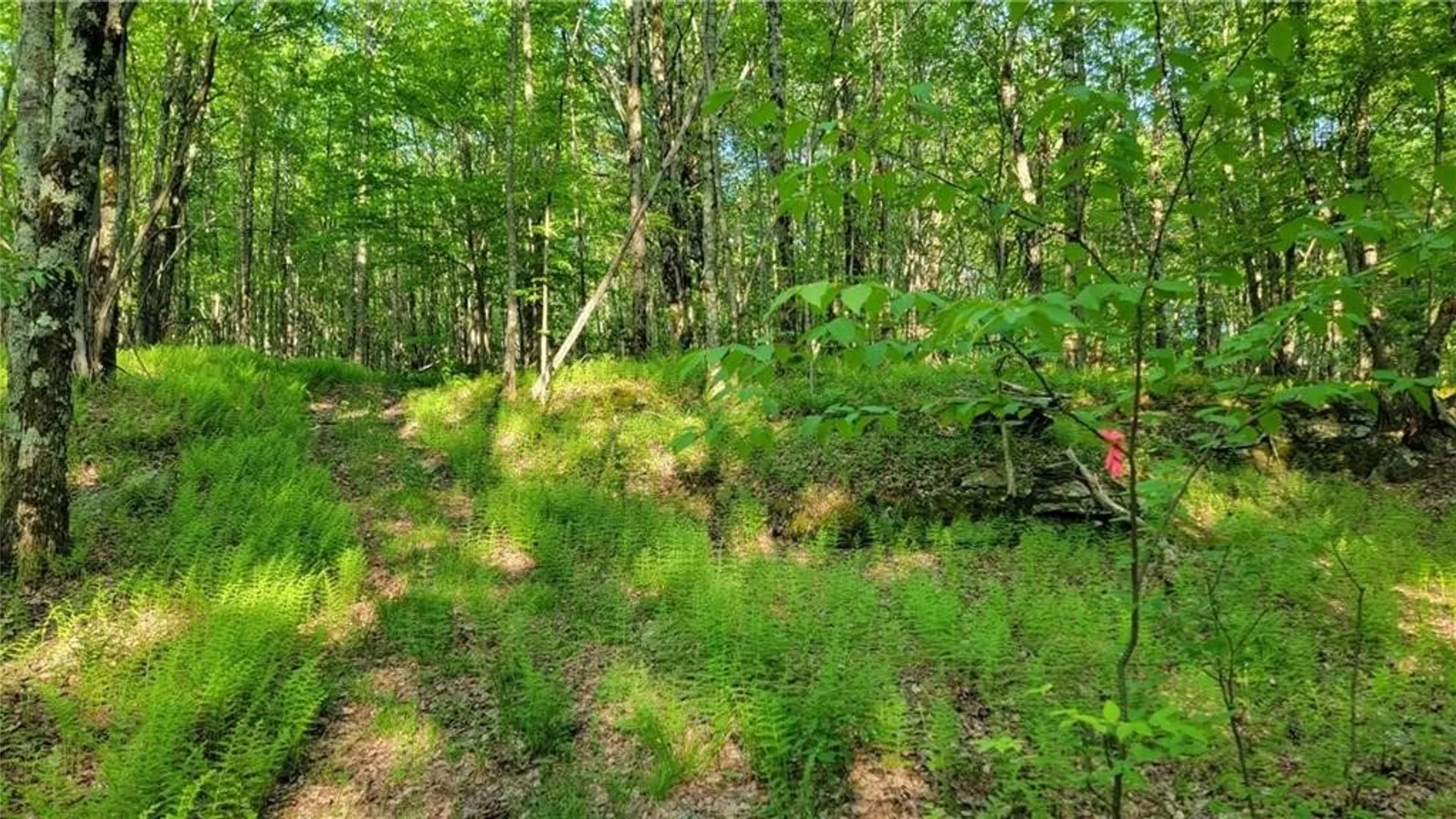 Property at Jim Lane Road, Bovina, NY 13740 22