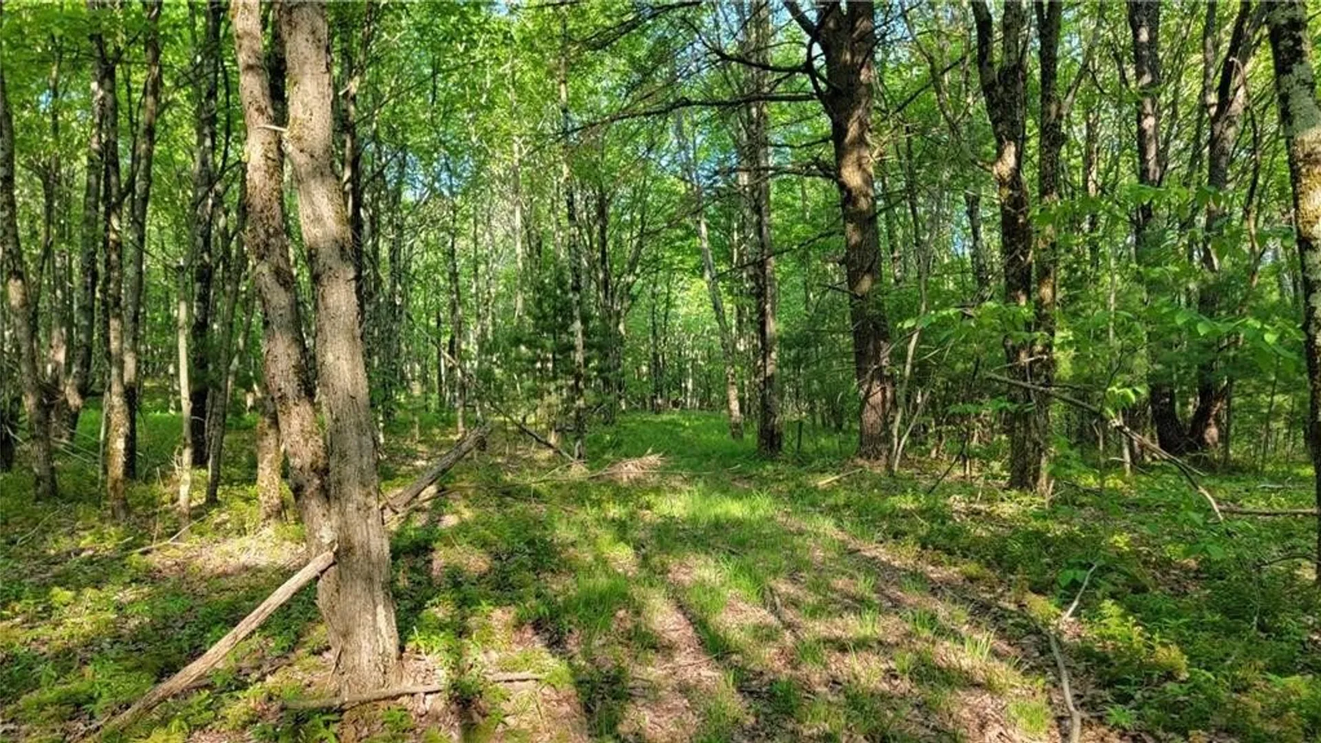 Property at Jim Lane Road, Bovina, NY 13740 24