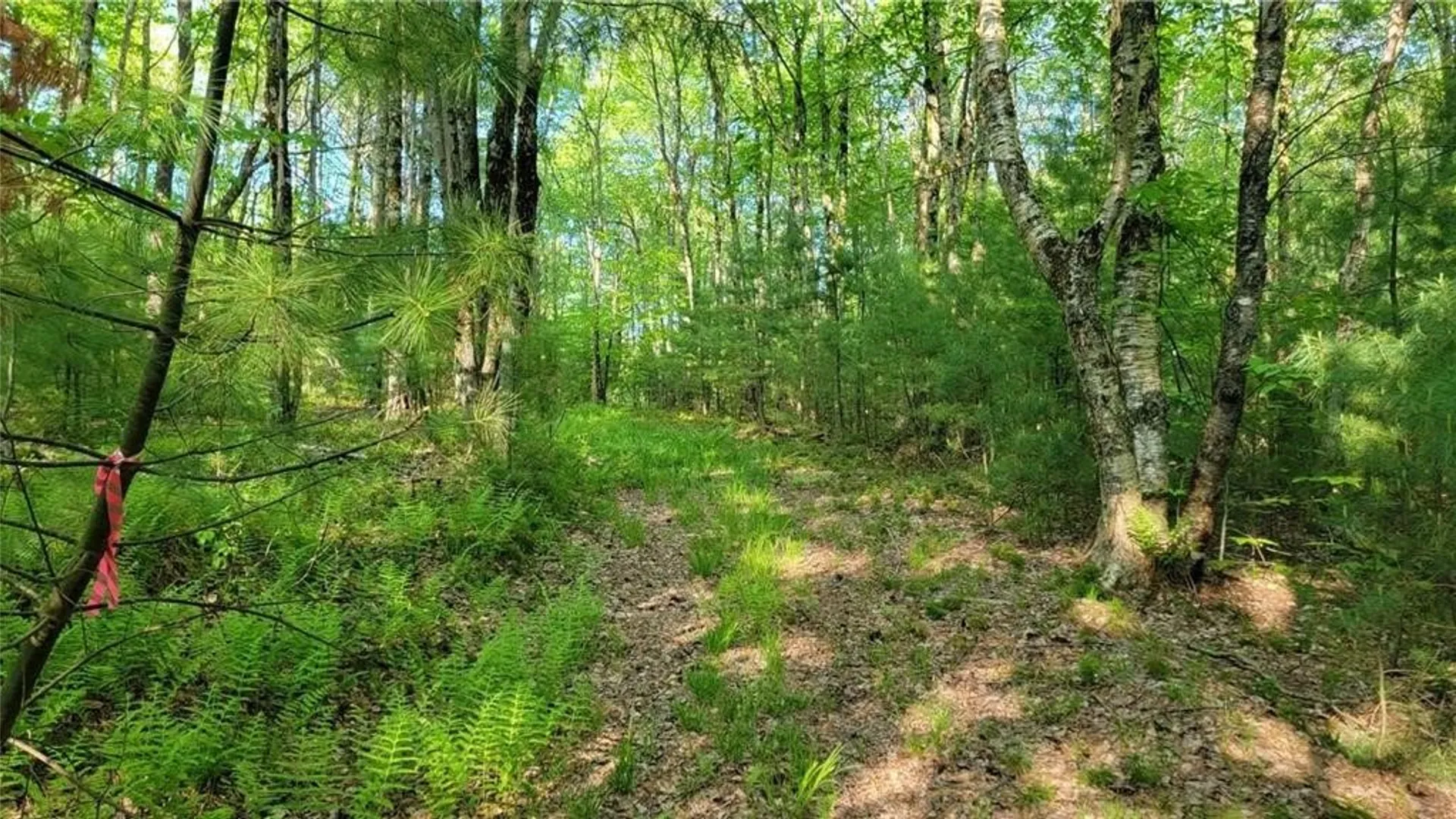 Property at Jim Lane Road, Bovina, NY 13740 27