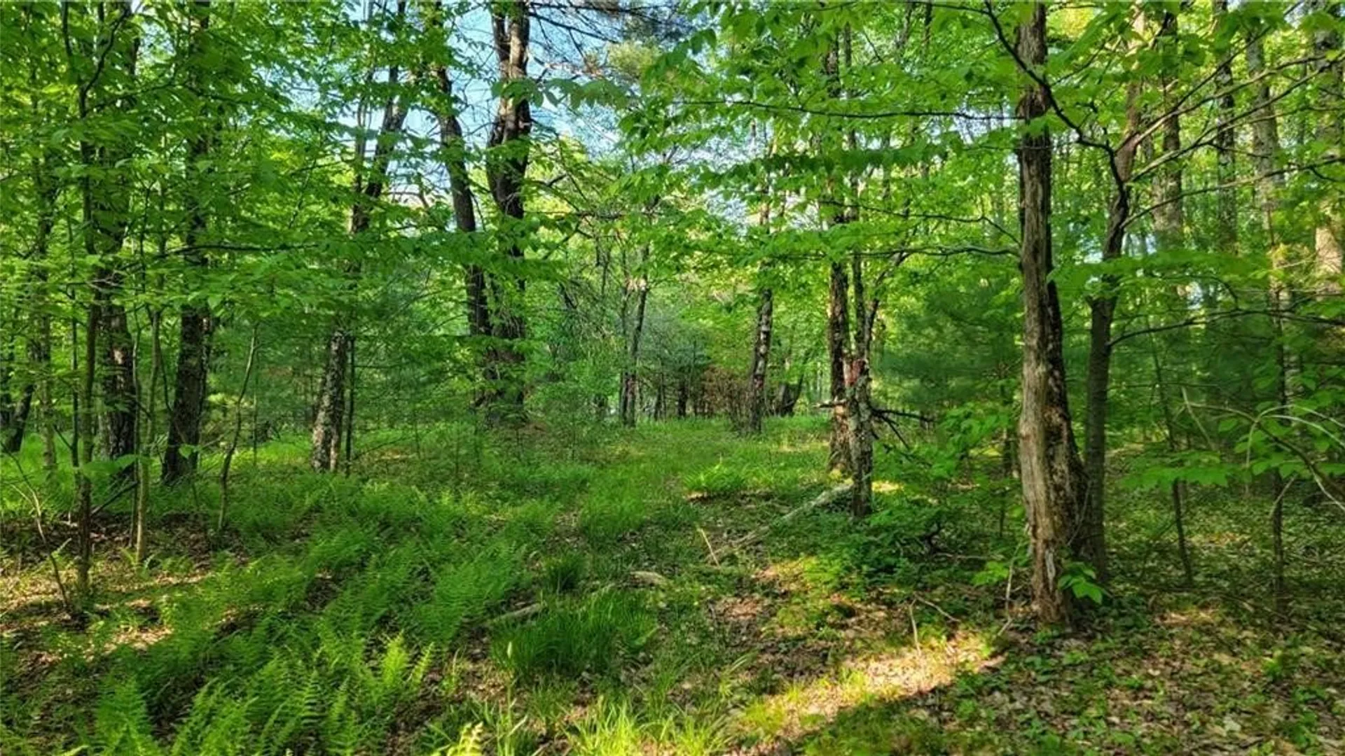 Property at Jim Lane Road, Bovina, NY 13740 28