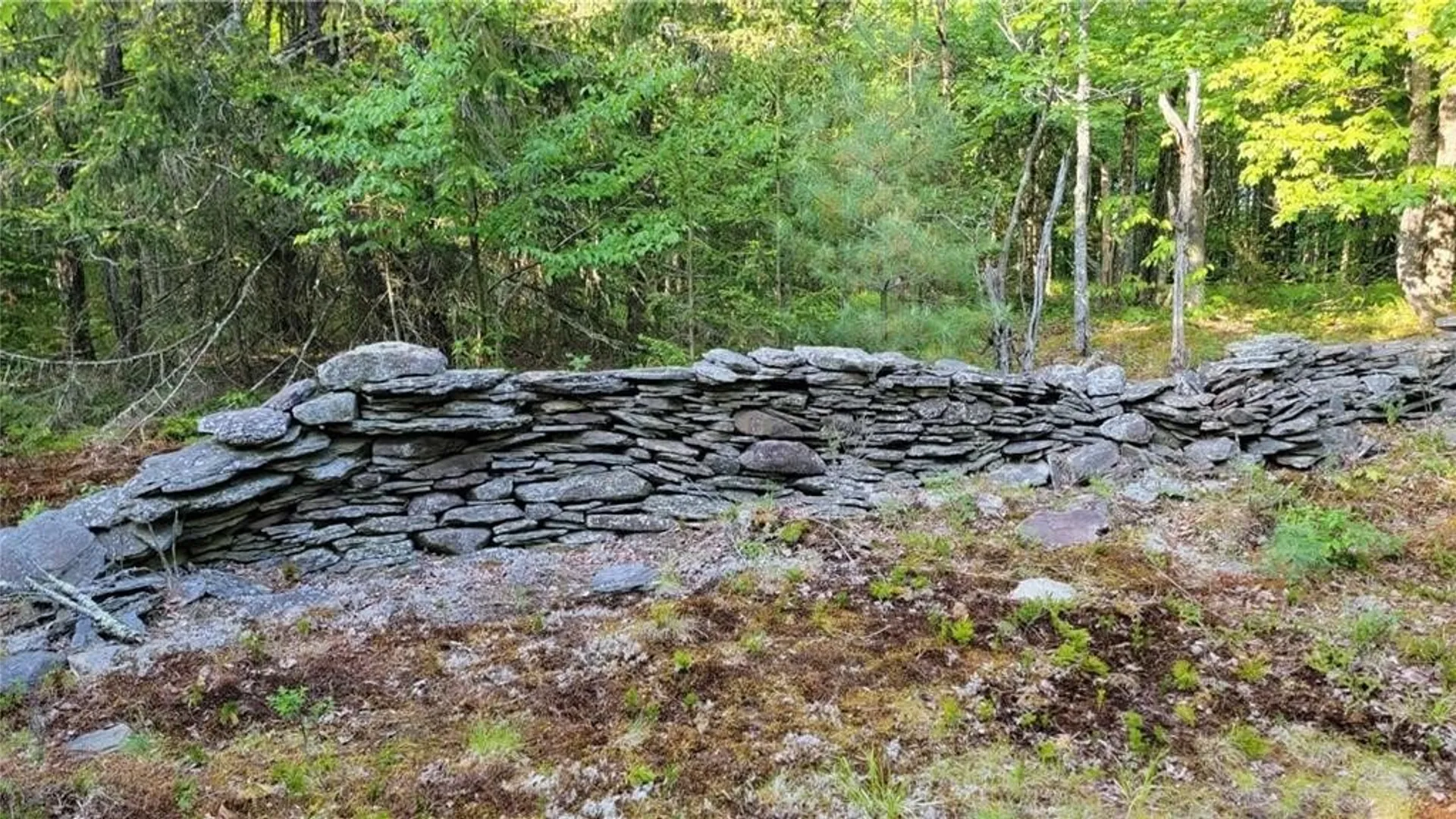 Property at Jim Lane Road, Bovina, NY 13740 29