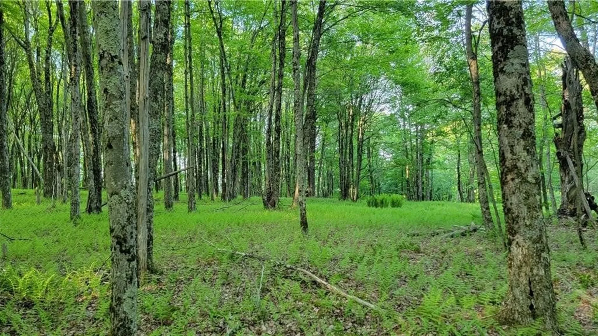 Property at Jim Lane Road, Bovina, NY 13740 37