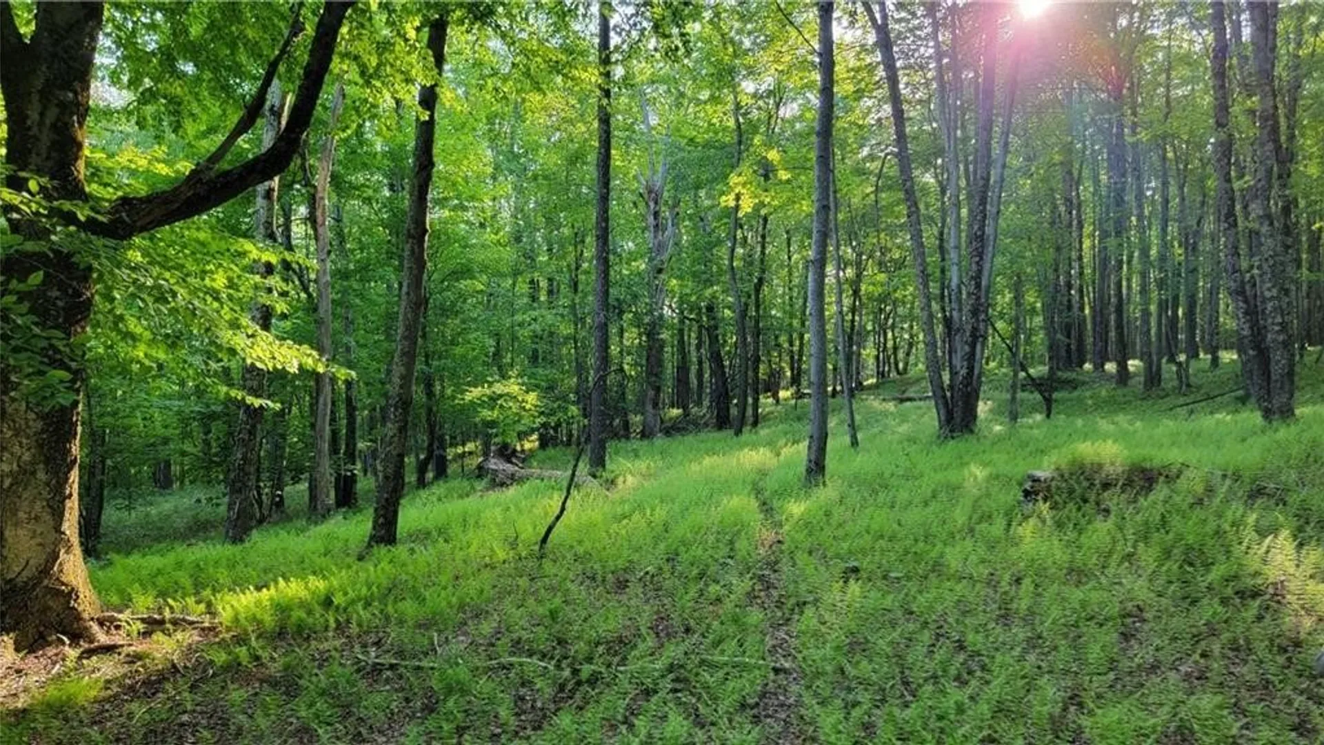 Property at Jim Lane Road, Bovina, NY 13740 39