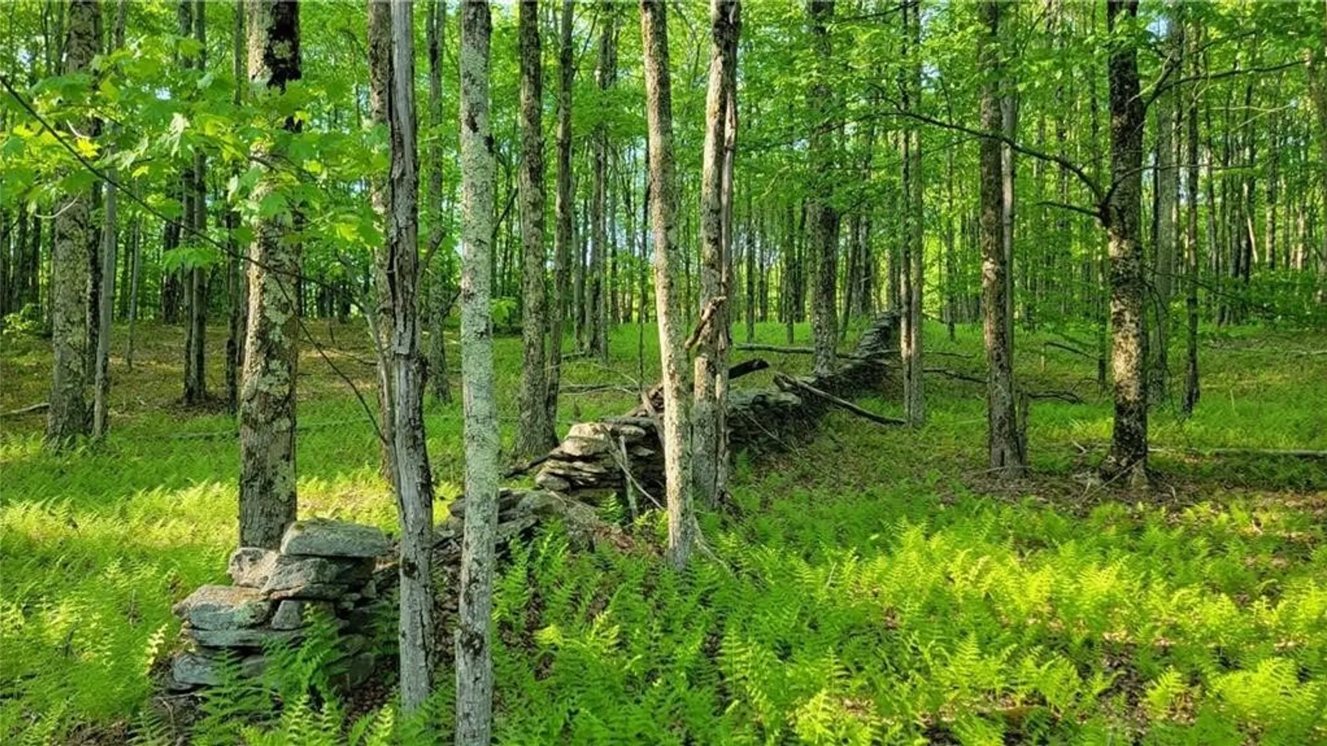 Property at Jim Lane Road, Bovina, NY 13740 42