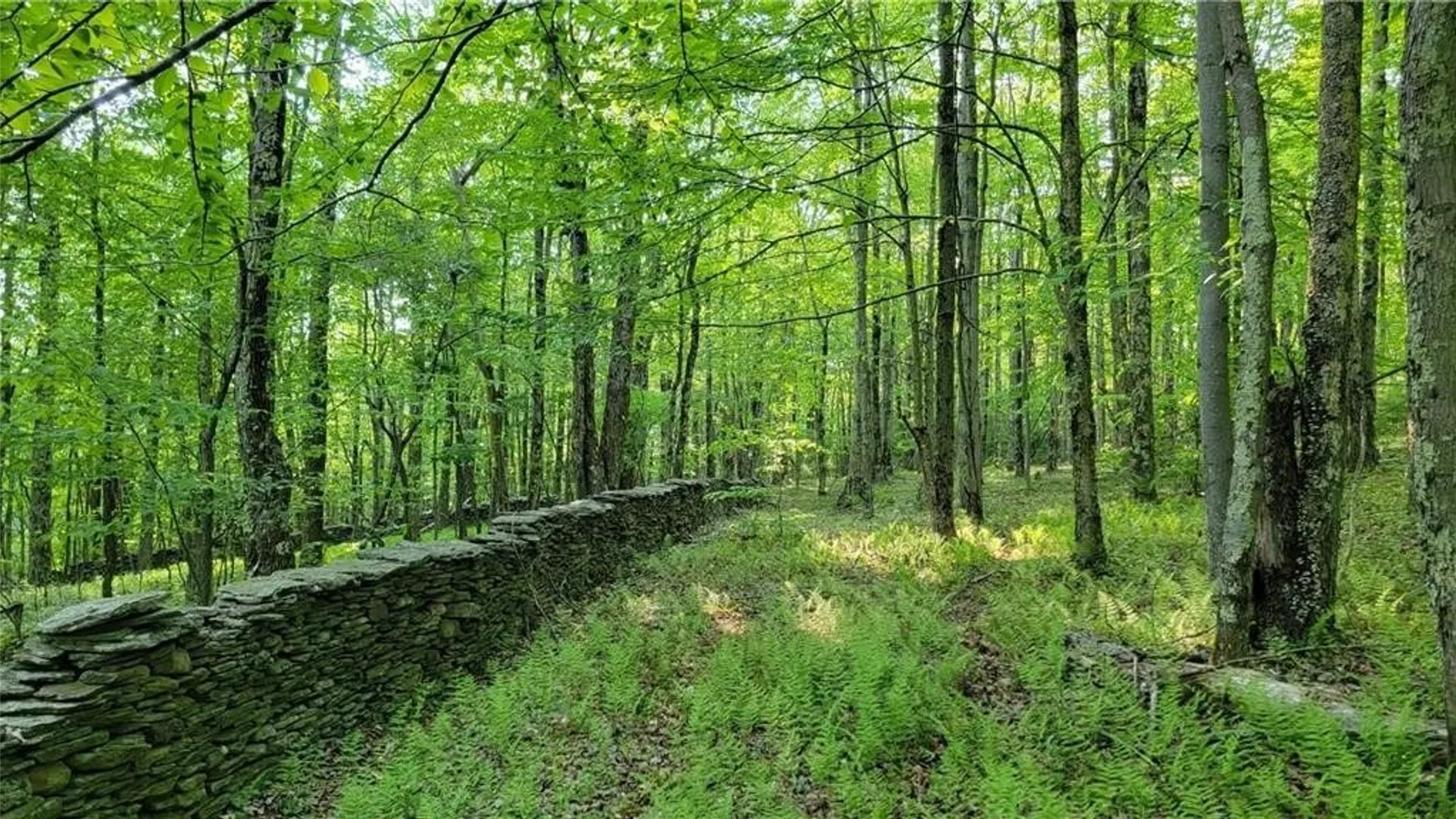 Property at Jim Lane Road, Bovina, NY 13740 43