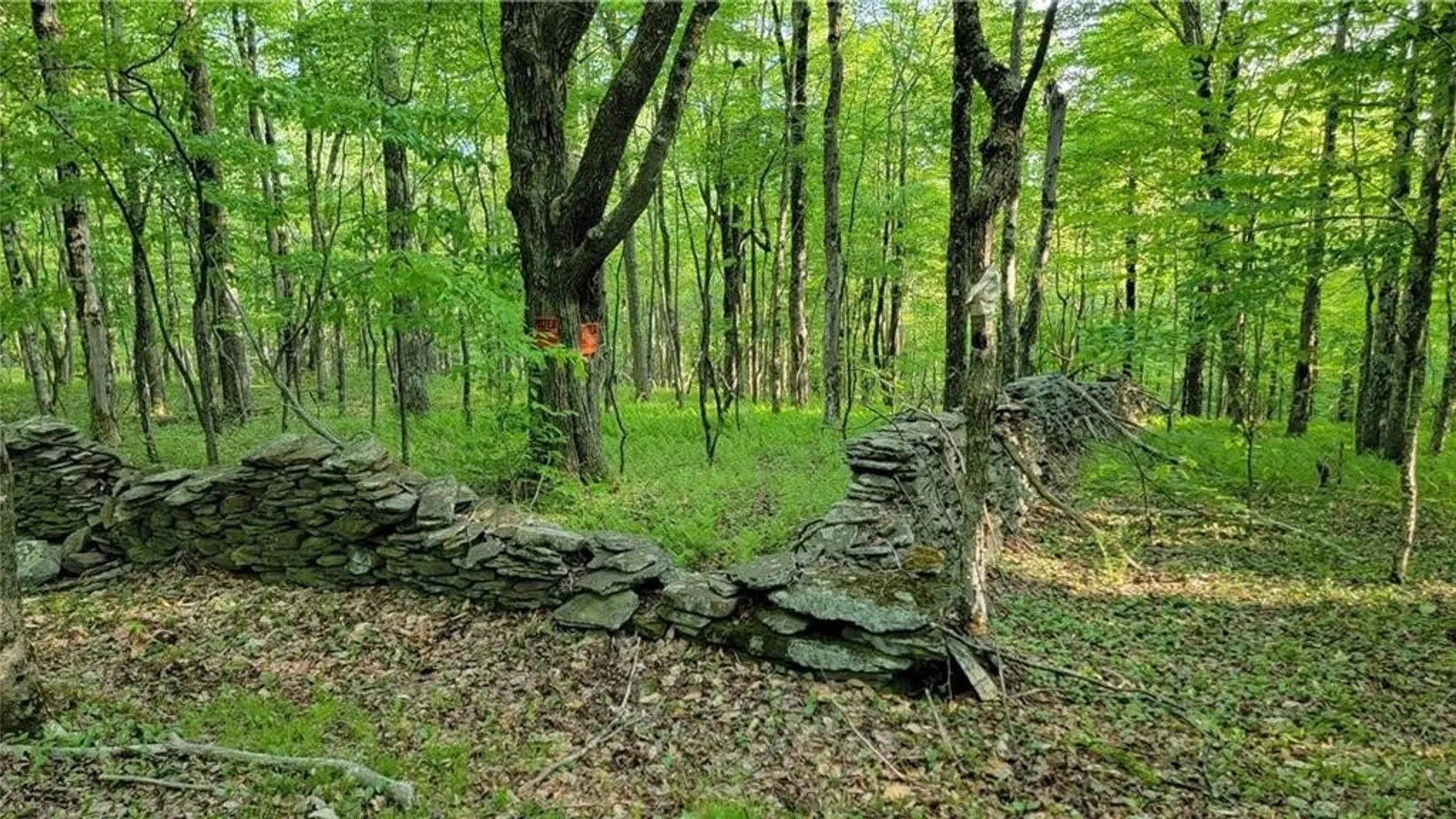 Property at Jim Lane Road, Bovina, NY 13740 44