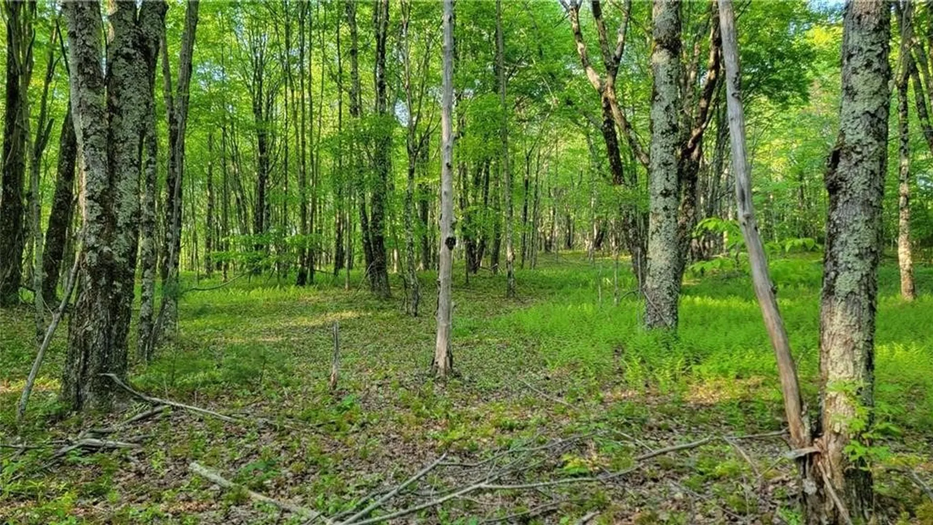 Property at Jim Lane Road, Bovina, NY 13740 46