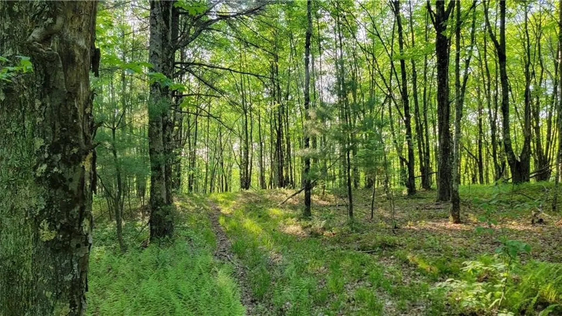 Property at Jim Lane Road, Bovina, NY 13740 48